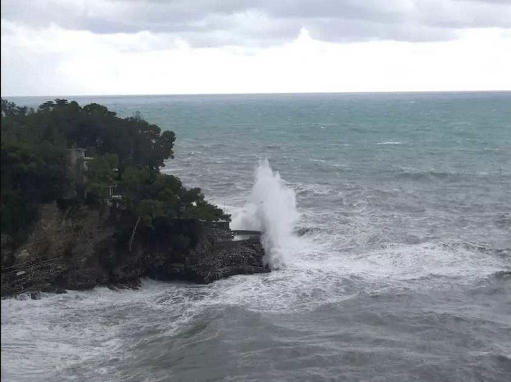 ホテルLe Persiane Sul Mare ピエーヴェ・リーグレ エクステリア 写真